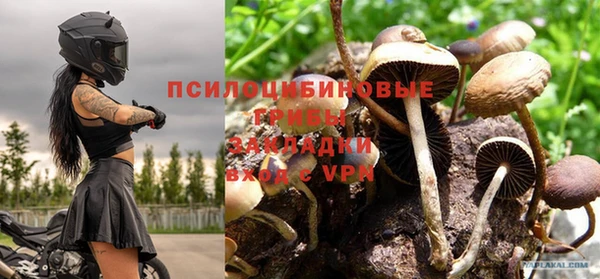 амфетамин Белокуриха
