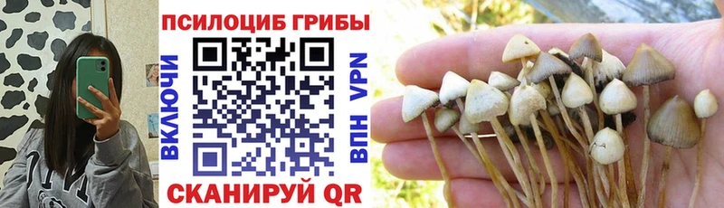 Галлюциногенные грибы ЛСД  Краснокаменск 